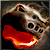 Bear's Blood