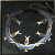 van Veteran Chakram