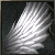 Infinito Ali<Lv.6>