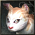 Chaton Familier Niv. 1 <1 jours>