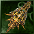 Far Retribution Eye Sword