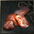 Hypolynx Senior 肉
