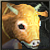 Cow 의 행운