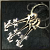 Silver Key Package
