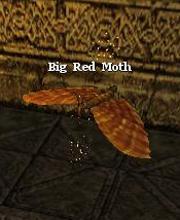 Big Red Moth