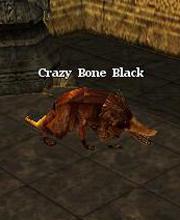 Crazy Bone Black