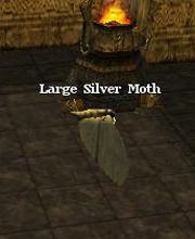Large Silver Moth