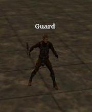 Wraith Guard