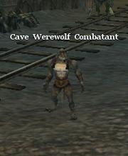Cave Werewolf Combatant
