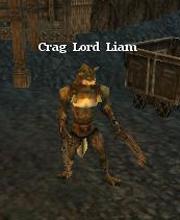 Crag Lord Liam