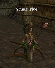 Young Blue