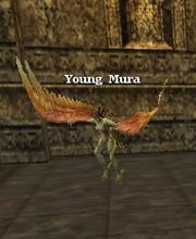 Young Mura
