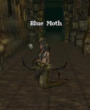 Blue Moth
