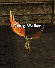 Ciring Walker