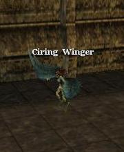 Ciring Winger