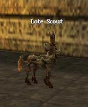 Lote Scout