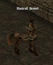 Hairal Scout