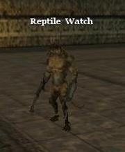 Reptile Watch