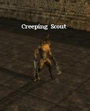 Creeping Scout
