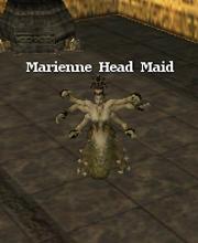 Marienne Head Maid