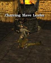 Charring Slave Leader