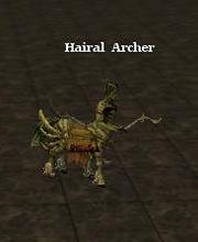 Hairal Archer