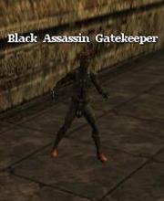 Black Assassin Gatekeeper