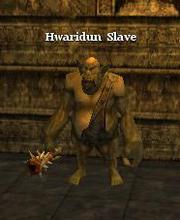 Hwaridun Slave