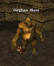 Girghan Slave