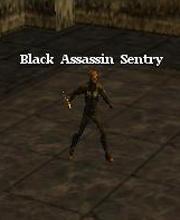 Black Assassin Sentry