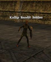 Kallip Bandit Soldier
