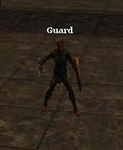 Black Assassin Guard