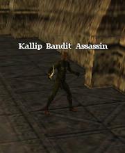Kallip Bandit Assassin