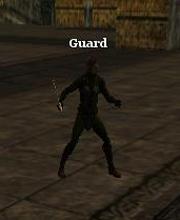 Black Assassin Guard