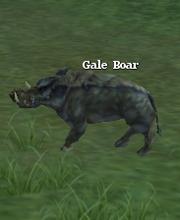Gale Boar