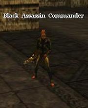 Black Assassin Commander