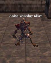 Ankle Canedog Slave