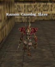 Ramon Canedog Slave