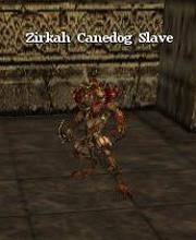 Zirkah Canedog Slave