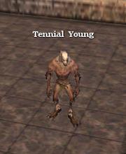 Tennial Young