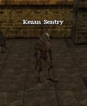 Kezan Sentry