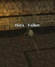 Hara Walker