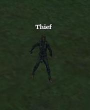 Thief