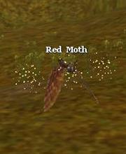 Red Moth