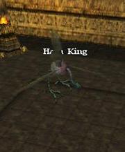 Hara King
