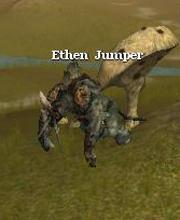 Ethen Jumper