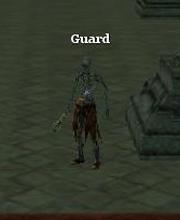 Guard Sorcerer
