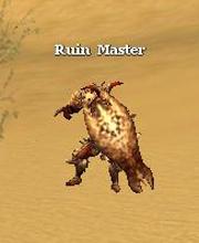 Ruin Master