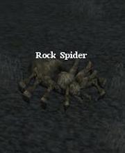 Rock Spider