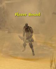 Игрок Bound
